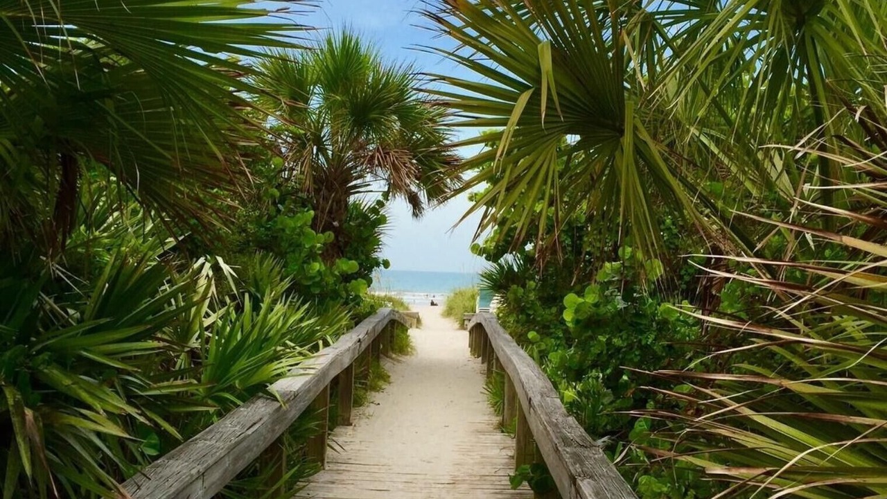 Photo of Others in Cocoa Beach