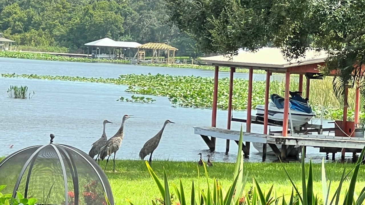 Photo of Outdoor in Highland
