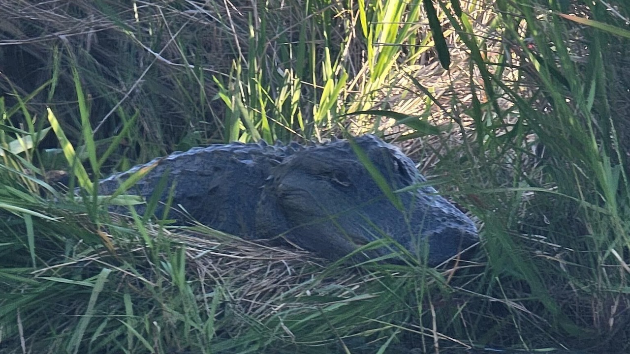 Photo of Outdoor in Folkston