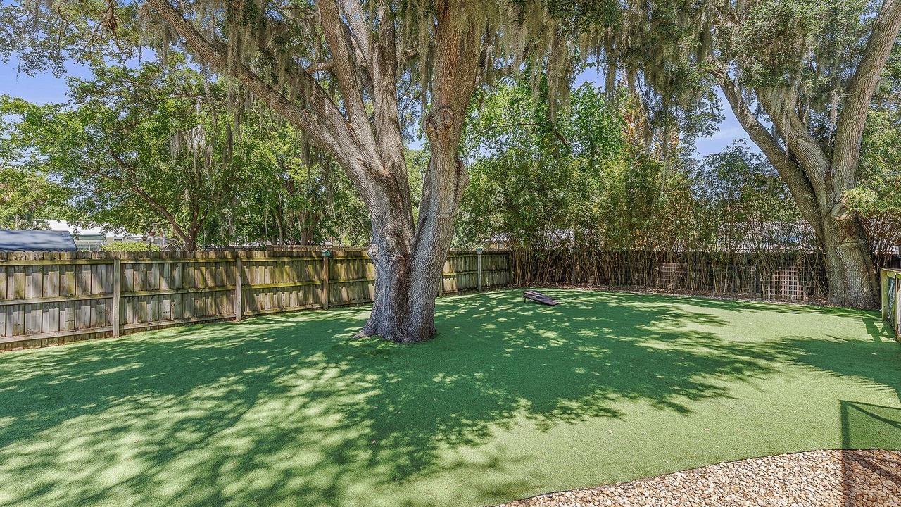 Photo of Others in New Smyrna Beach