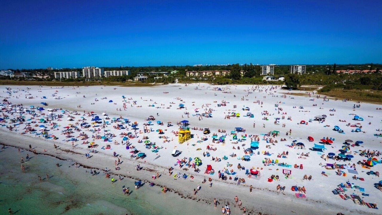 Photo of Others in Lake Sarasota