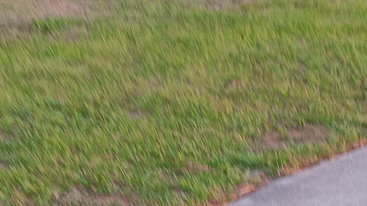 Photo of Others in Pinecrest West Park