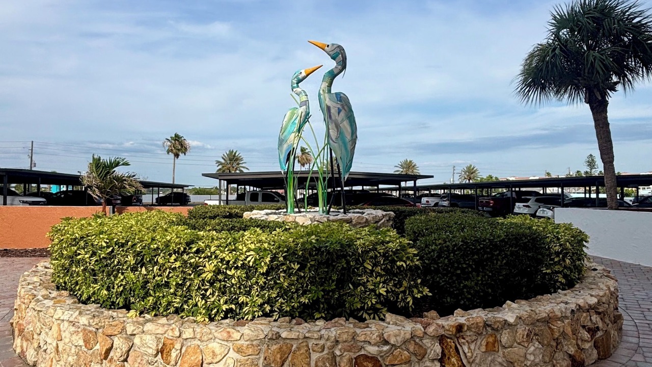 Photo of Outdoor in Redington Shores