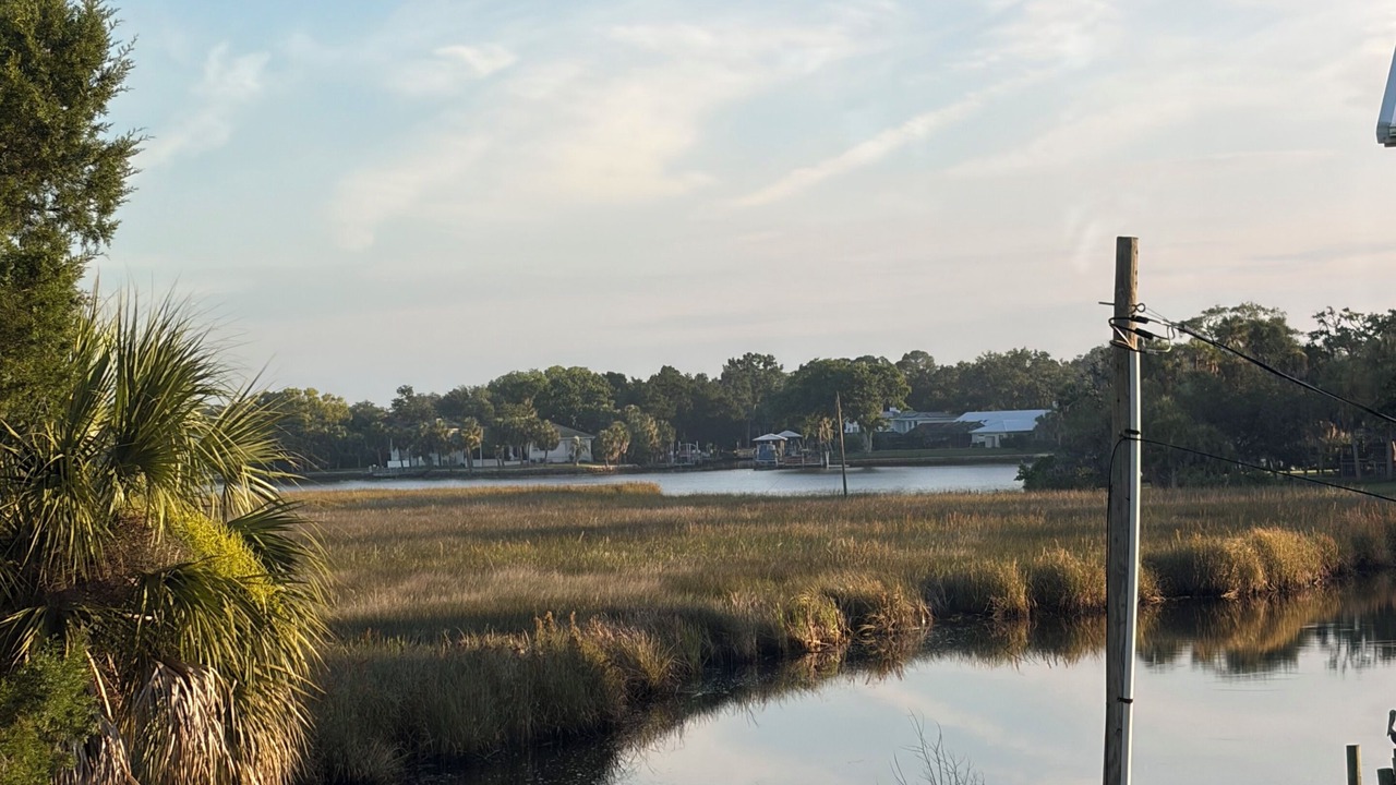 Photo of Others in Homosassa