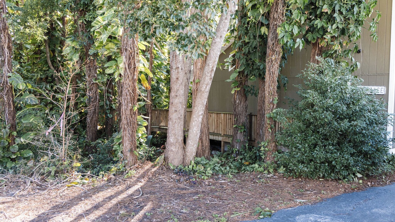 Photo of Outdoor in New Port Richey