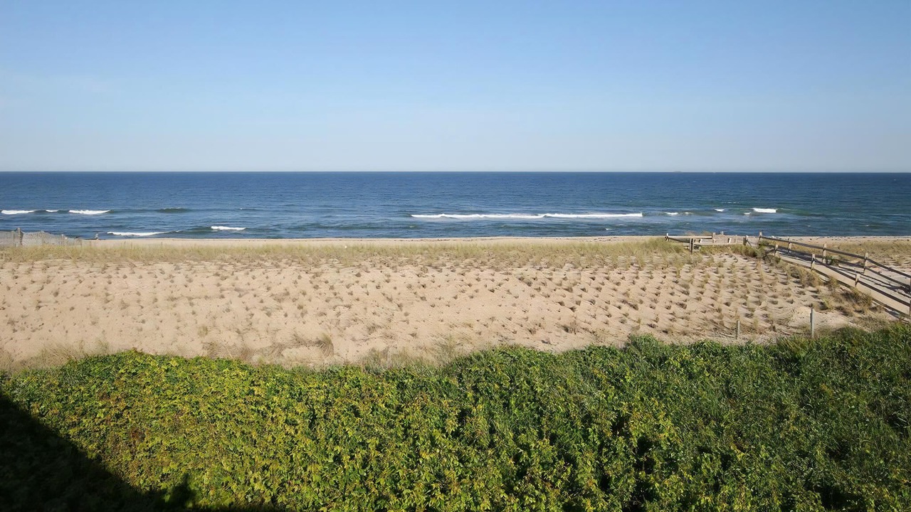 Photo of Others in Surf City