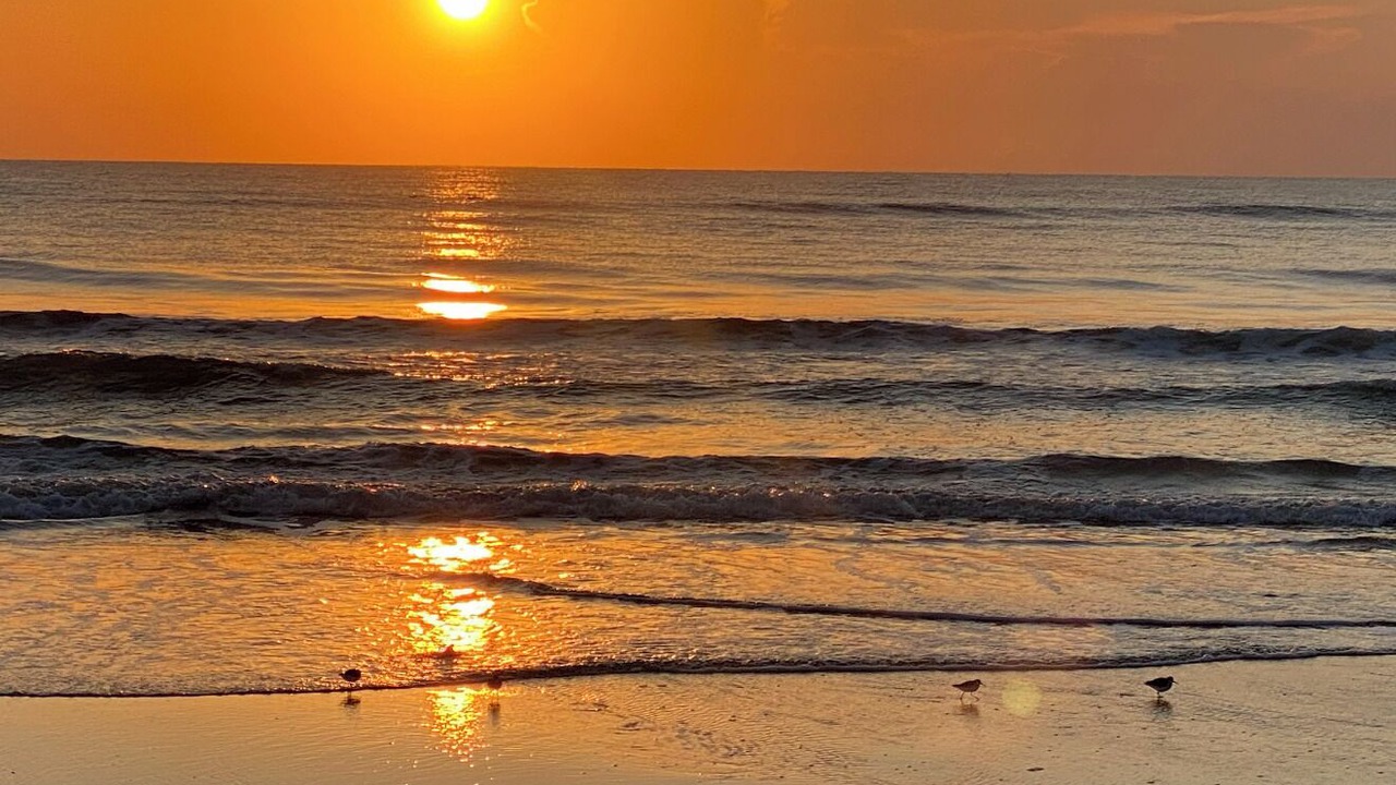 Photo of Others in Ormond Beach