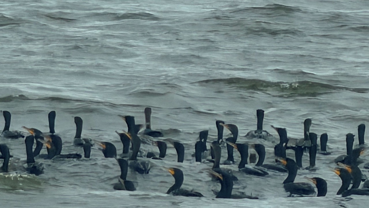 Photo of Others in Lakeland