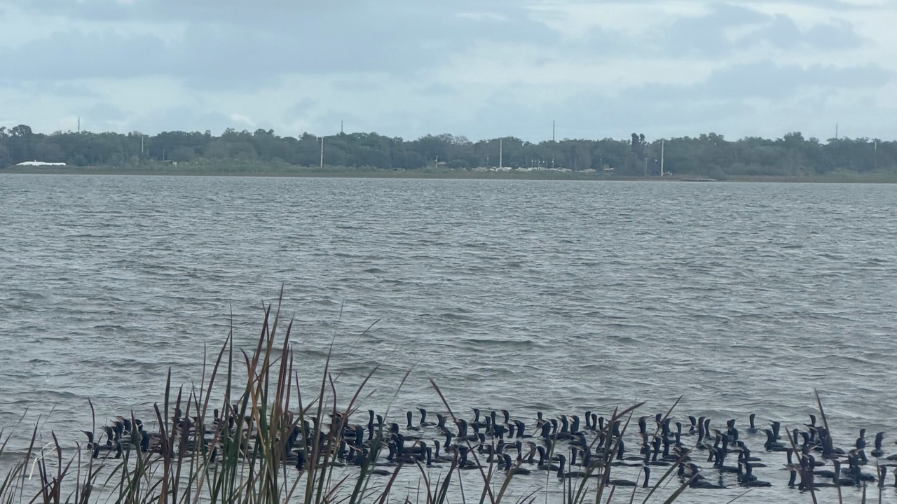 Photo of Others in Lakeland