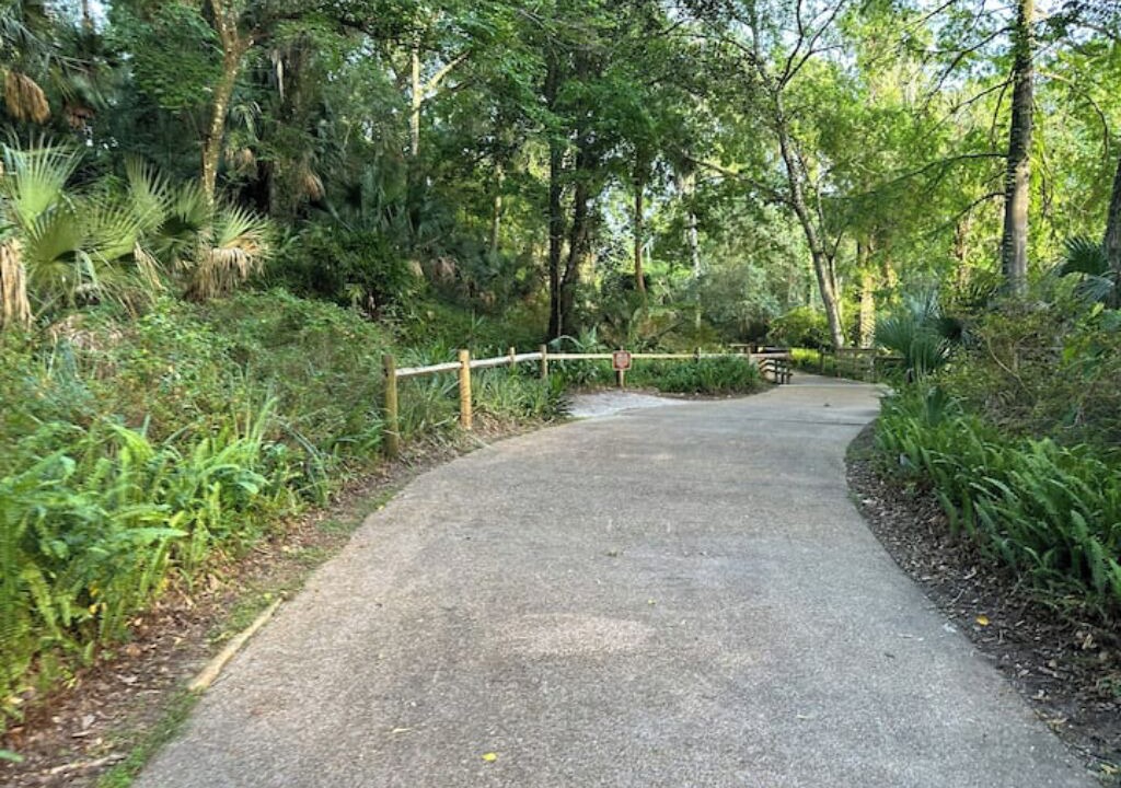 Photo of Outdoor in Ocala