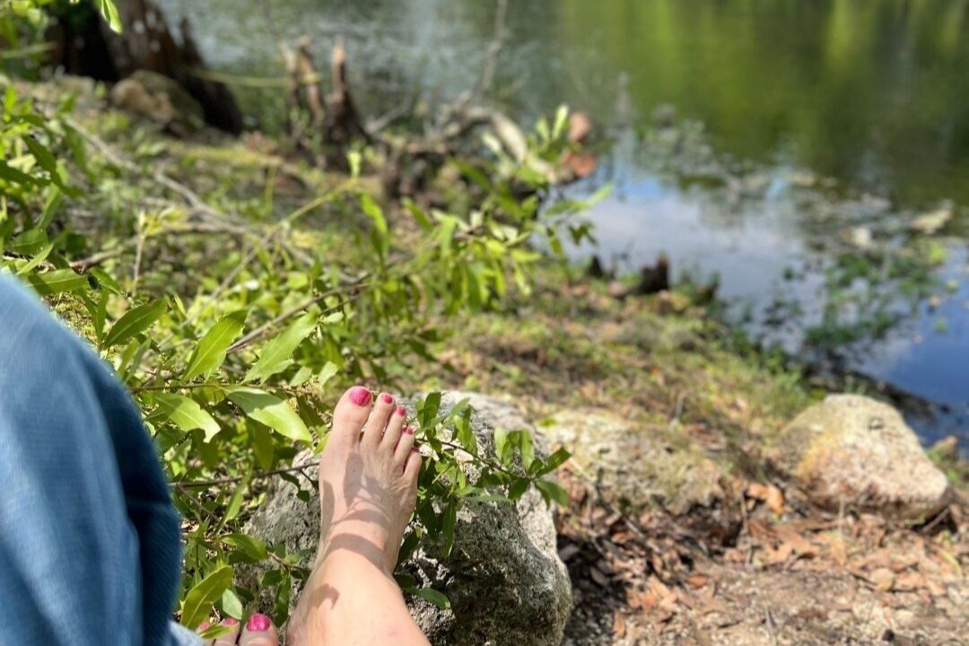 Photo of Others in Citrus Springs