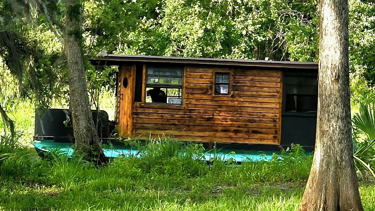 Photo of Outdoor in Citrus Springs