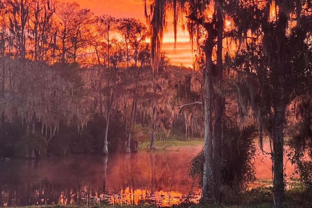 Photo of Others in Citrus Springs