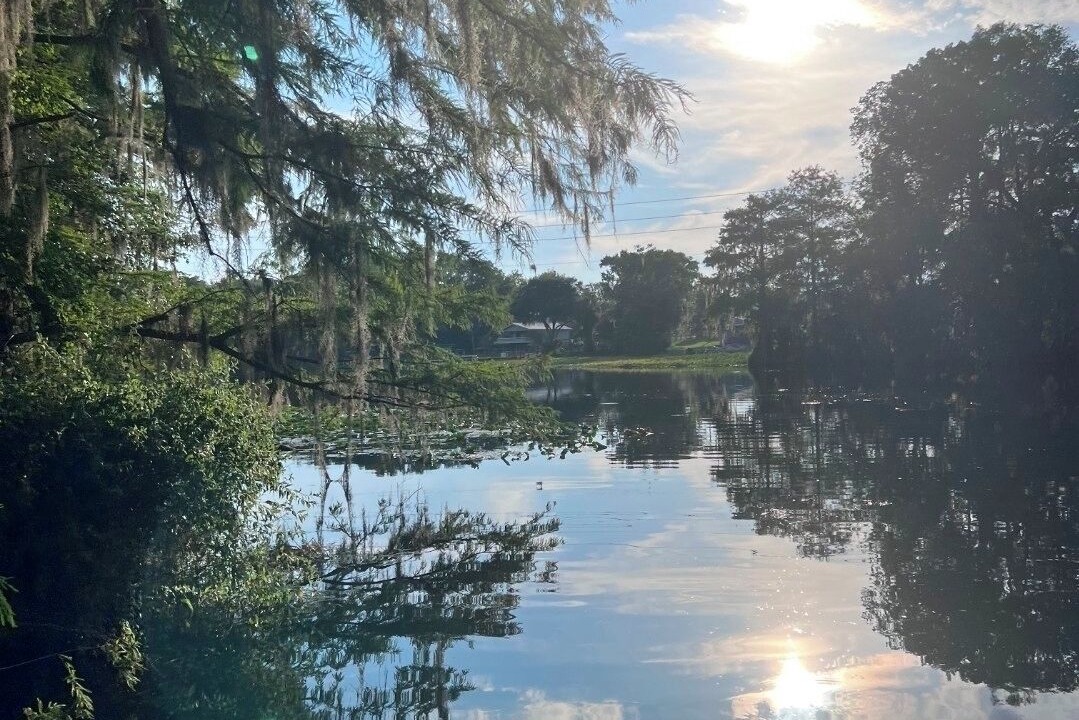 Photo of Others in Citrus Springs