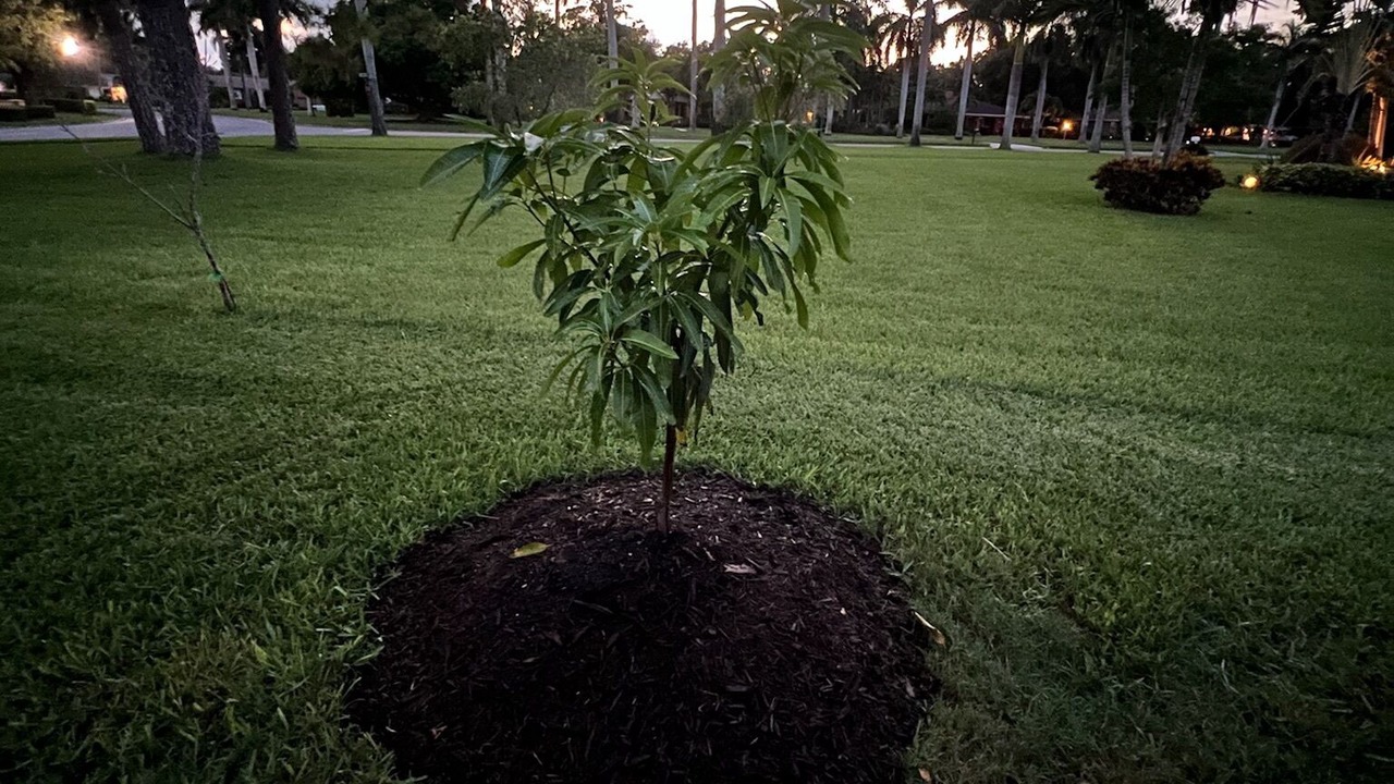 Photo of Outdoor in Bradenton
