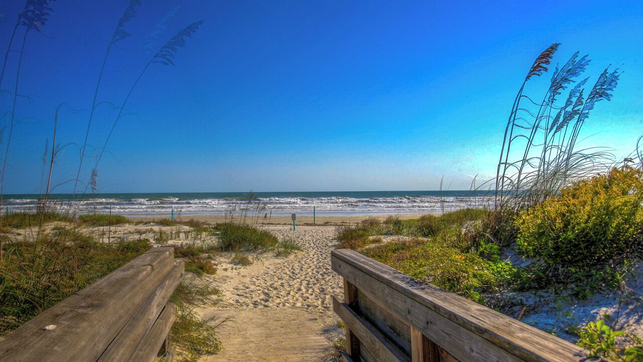 Photo of Others in New Smyrna Beach
