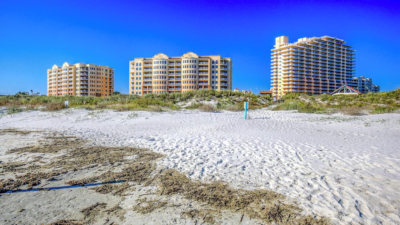 Photo of Others in New Smyrna Beach