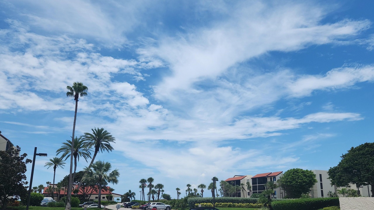 Photo of Others in Longboat Key