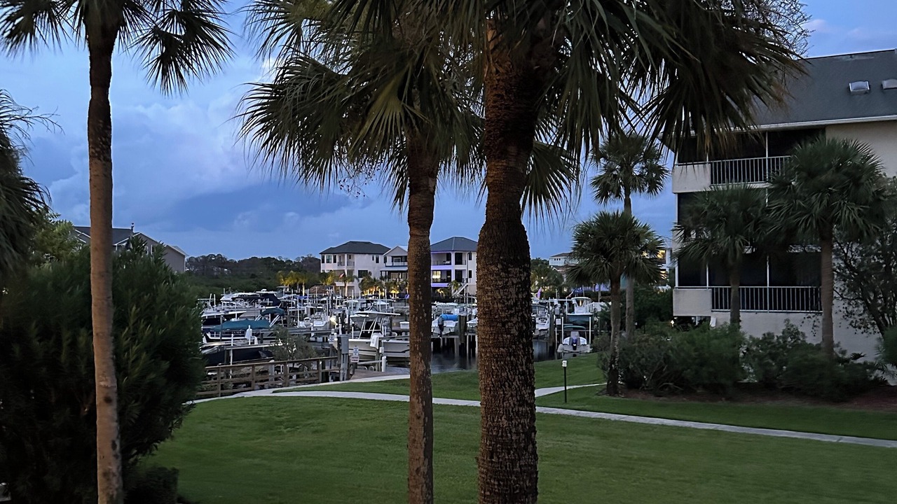 Photo of Outdoor in New Port Richey