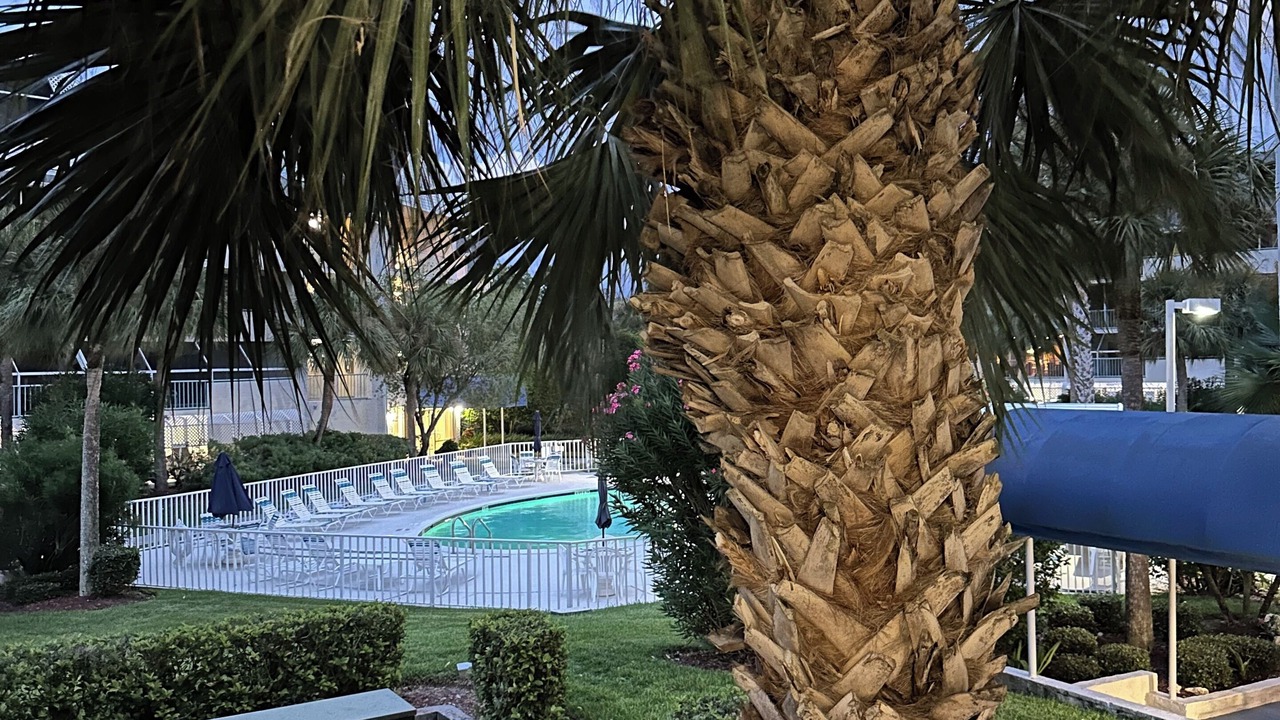 Photo of Outdoor in New Port Richey