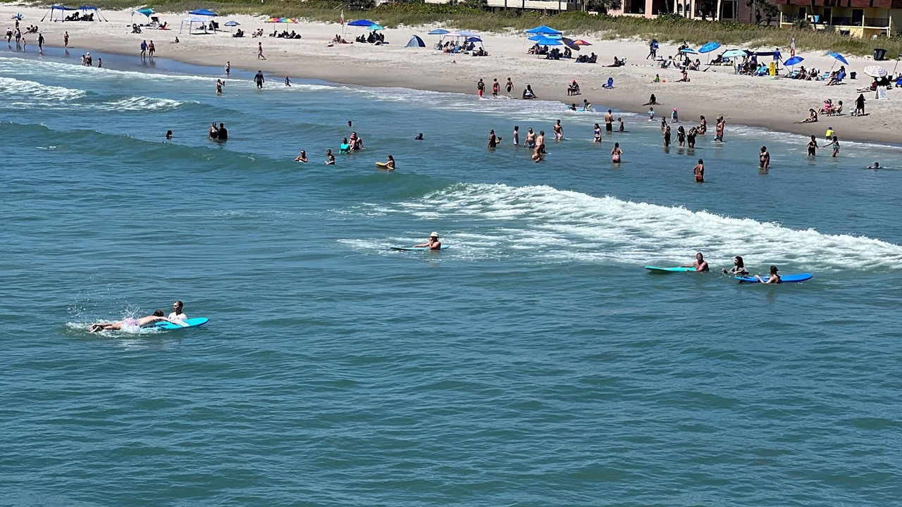 Photo of Others in Cocoa Isles