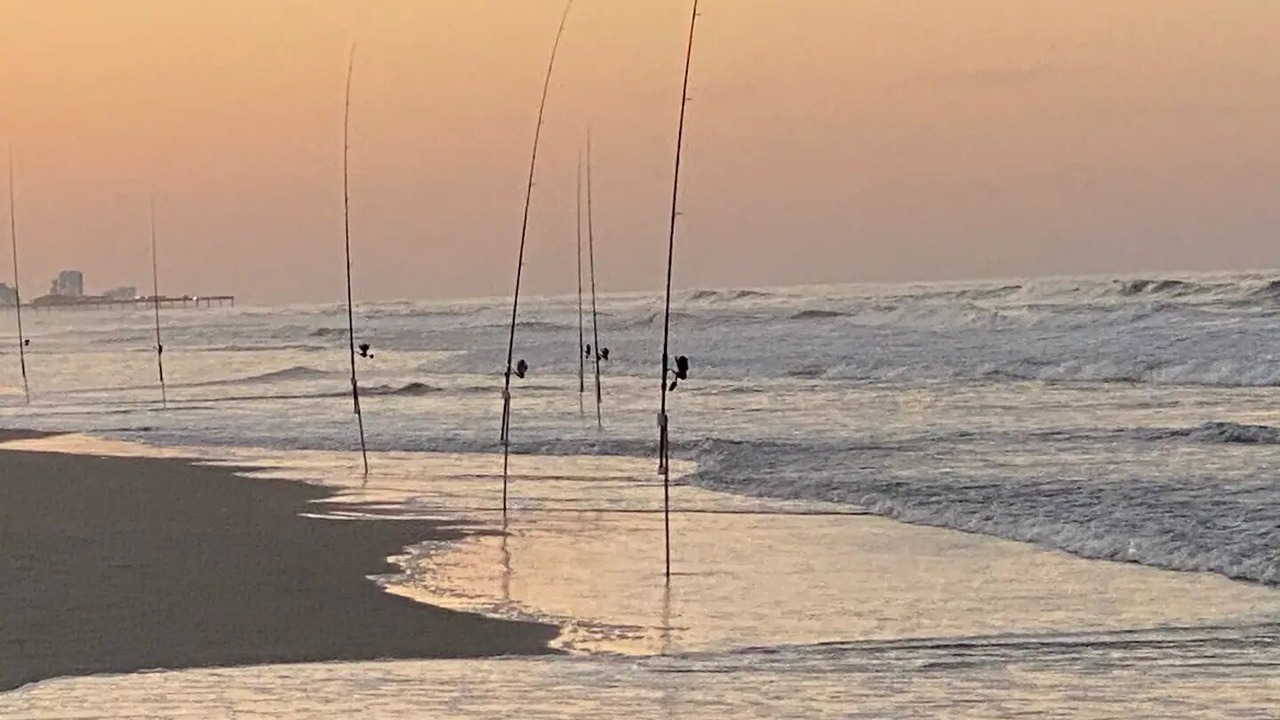 Photo of Others in Ponce Inlet
