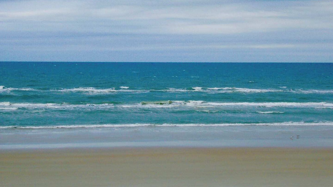 Photo of Others in Ponce Inlet