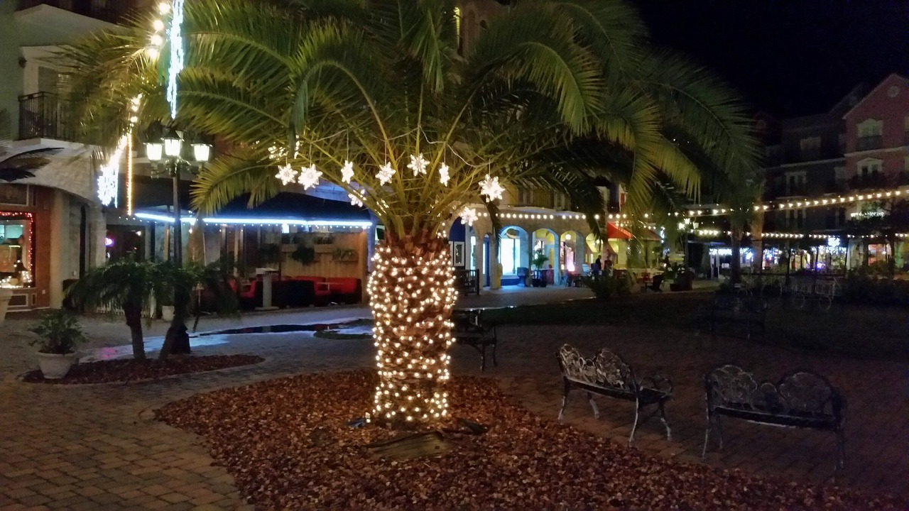 Photo of Outdoor in Palm Coast