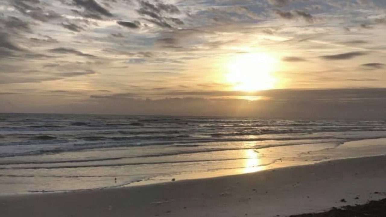 Photo of Others in Port Orange