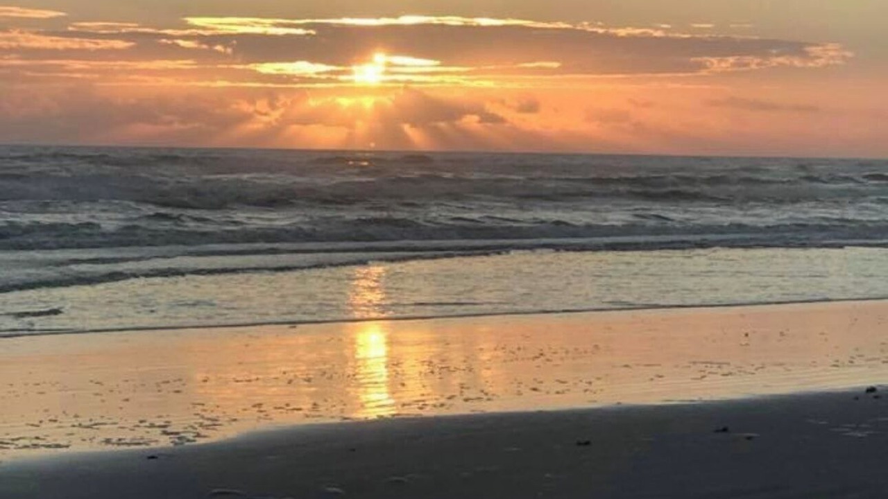 Photo of Others in Port Orange