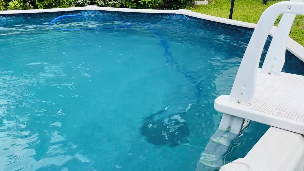 Photo of Outdoor in Crystal River
