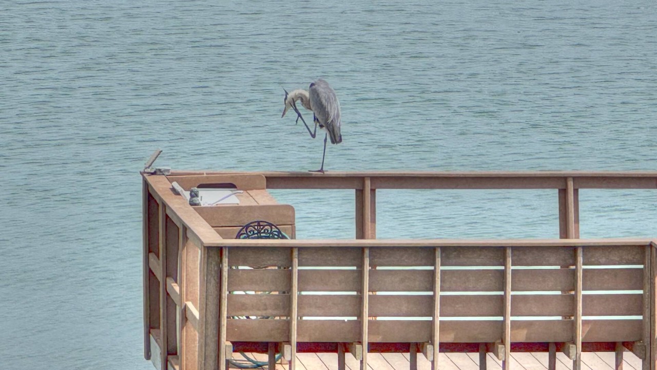 Photo of Others in Sunset Beach