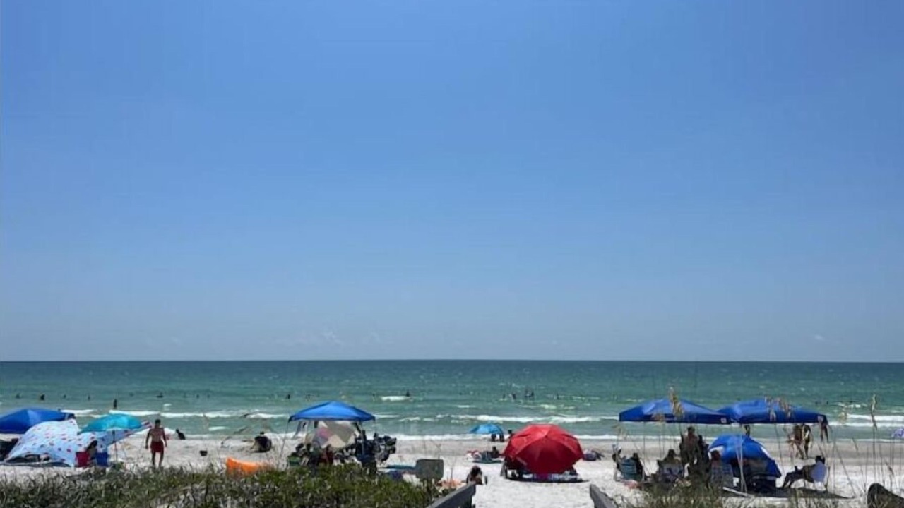 Photo of Others in Indian Rocks Beach