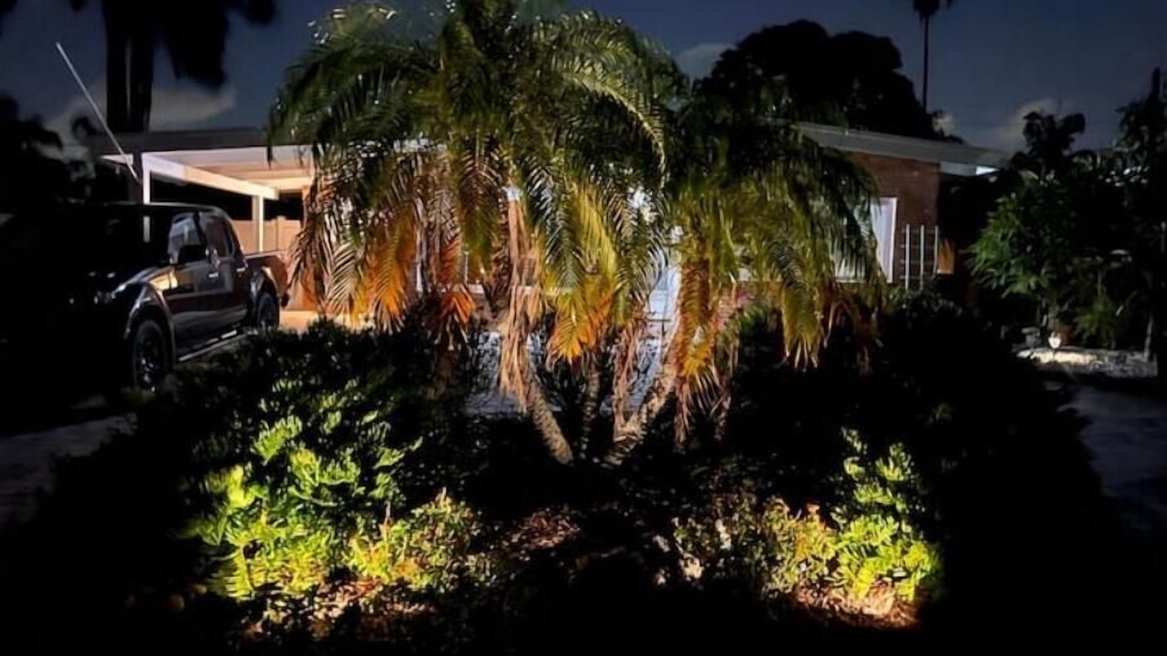 Photo of Outdoor in Indian Rocks Beach