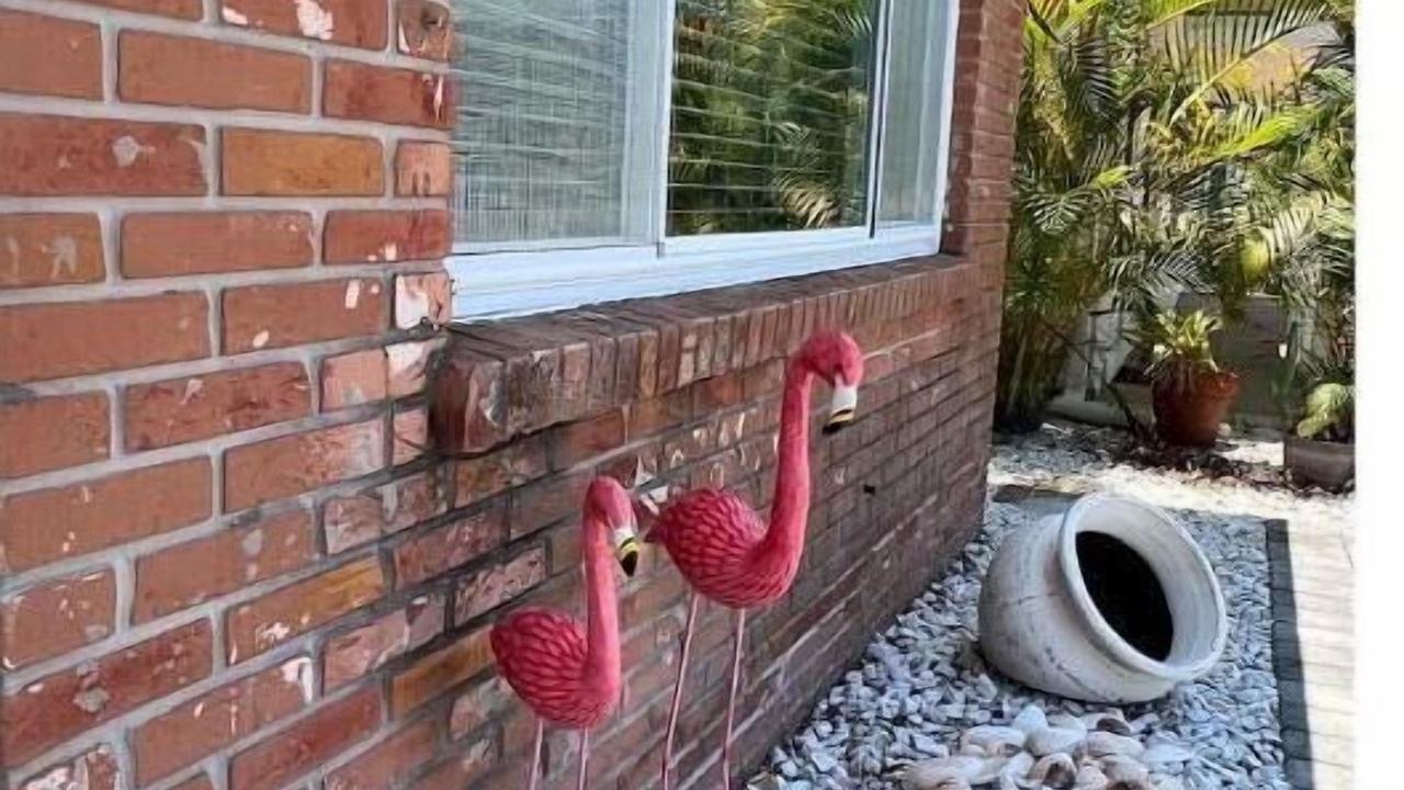 Photo of Outdoor in Indian Rocks Beach
