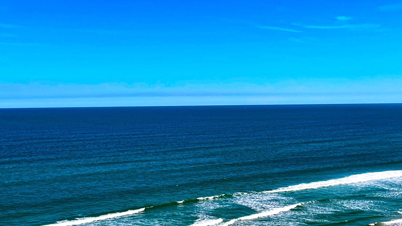 Photo of Others in Daytona Beach Shores