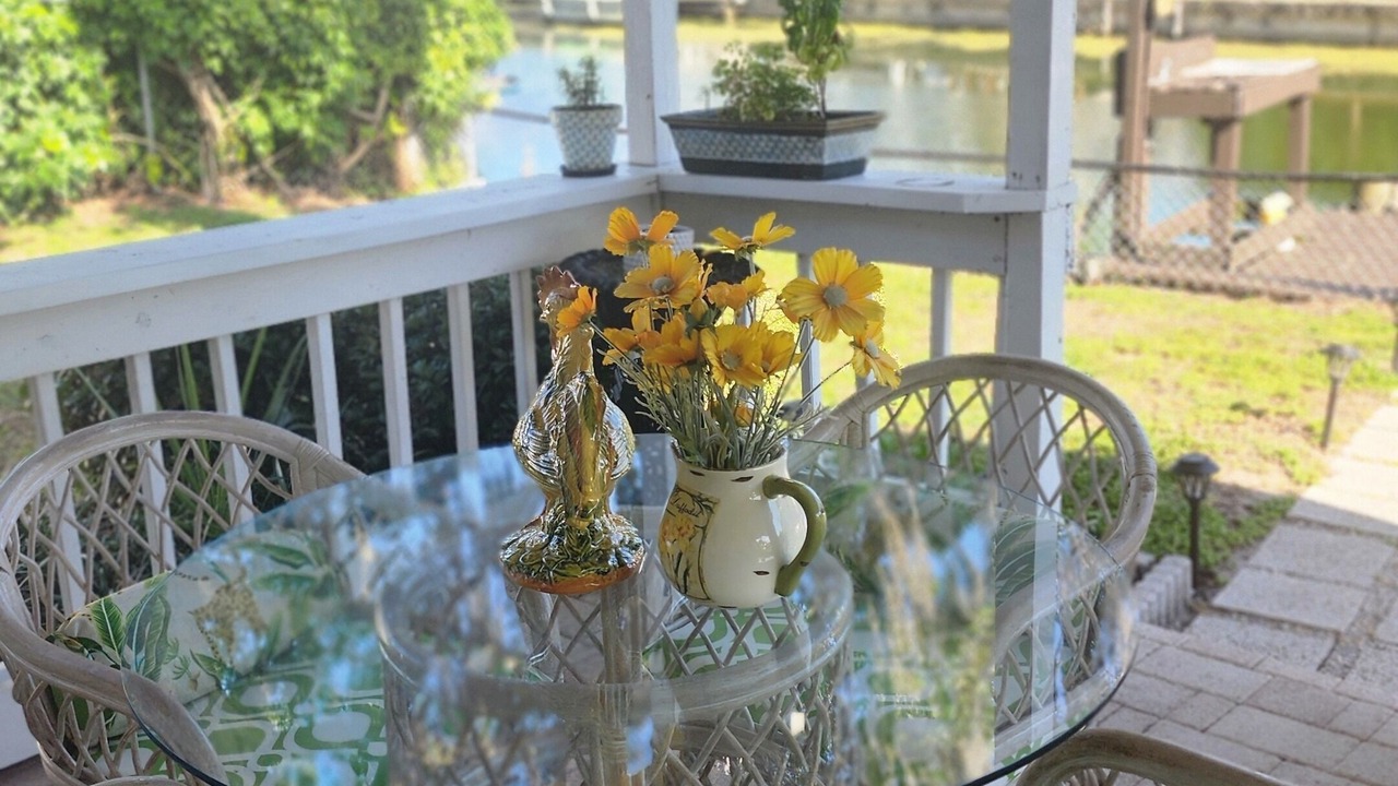 Photo of Outdoor in Palm Harbor
