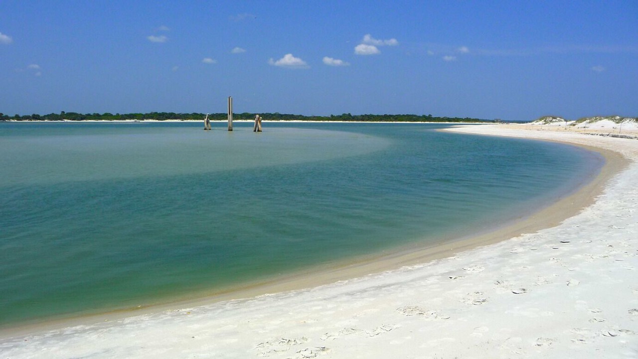 Photo of Others in Palm Coast