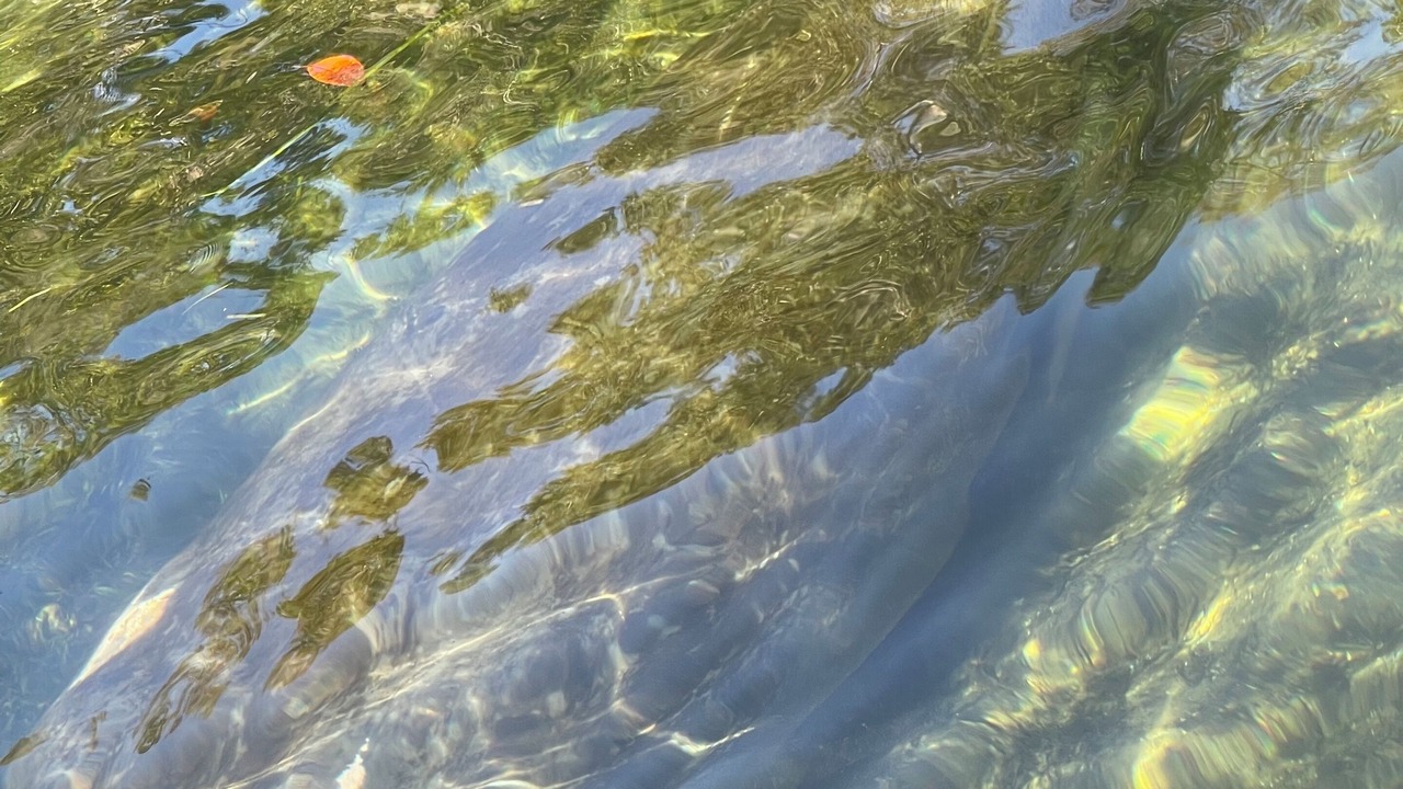 Photo of Outdoor in Homosassa