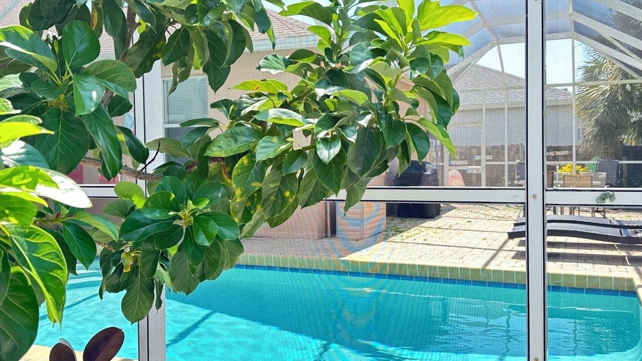 Photo of Outdoor in Gulf Gate Estates