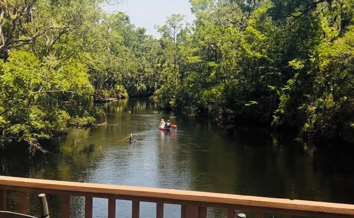 Photo of Outdoor in Steinhatchee