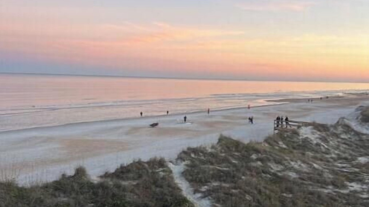 Photo of Others in St. Augustine Beach
