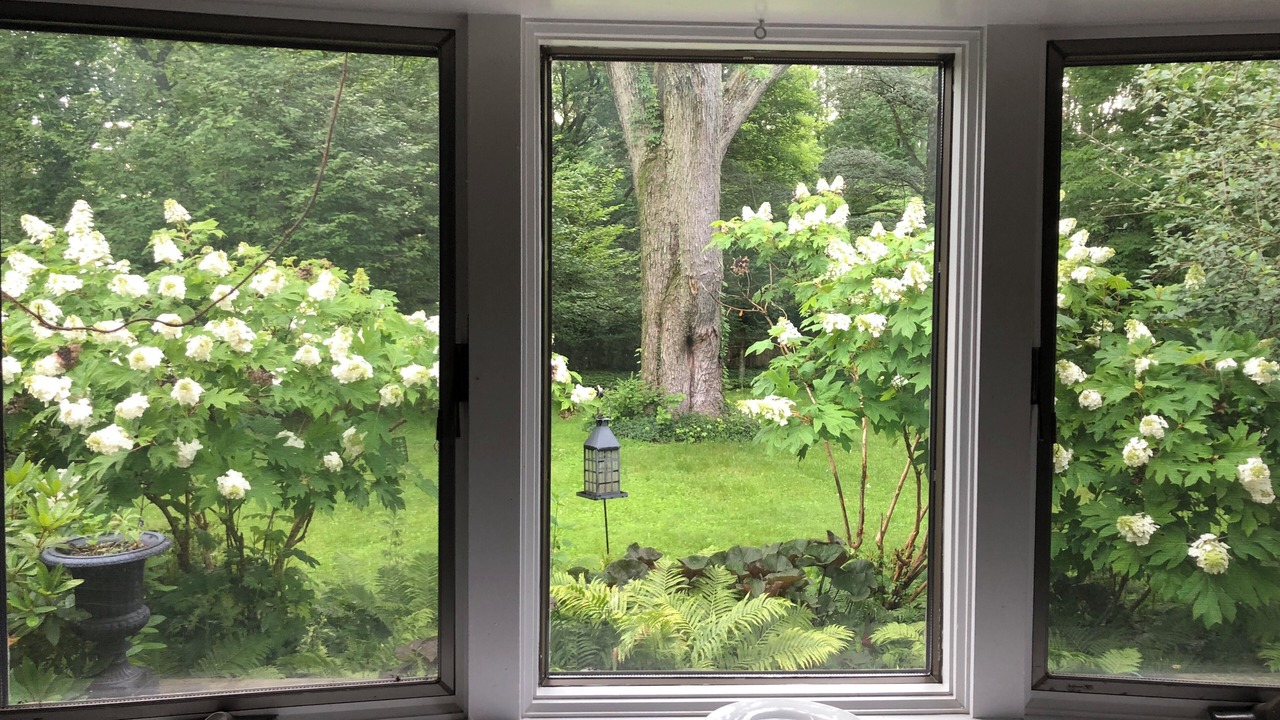 Photo of Outdoor in New Hope