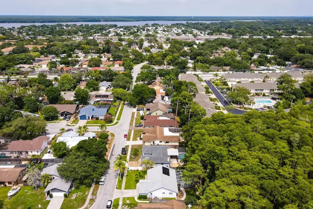 Photo of Outdoor in Palm Harbor