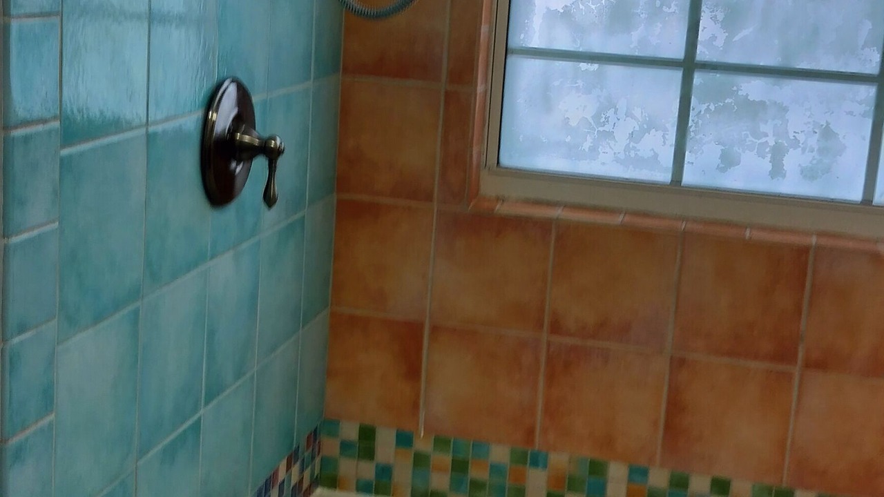 Photo of Bathroom in Bradenton
