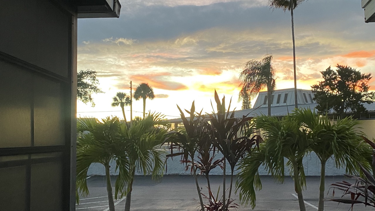 Photo of Others in Madeira Beach