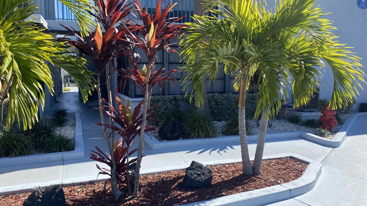Photo of Outdoor in Madeira Beach