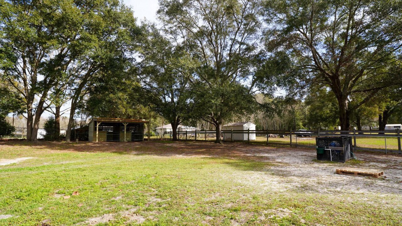 Photo of Others in Ocala