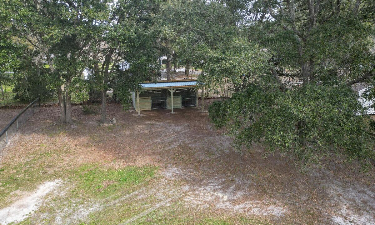 Photo of Outdoor in Ocala