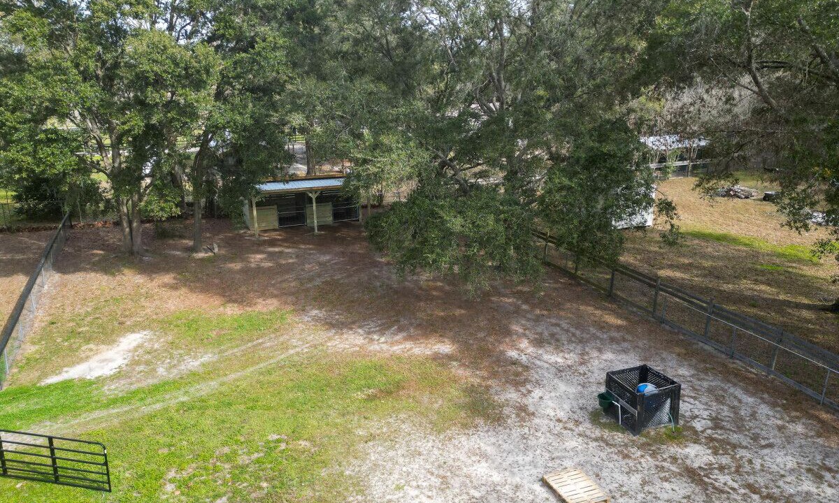 Photo of Others in Ocala